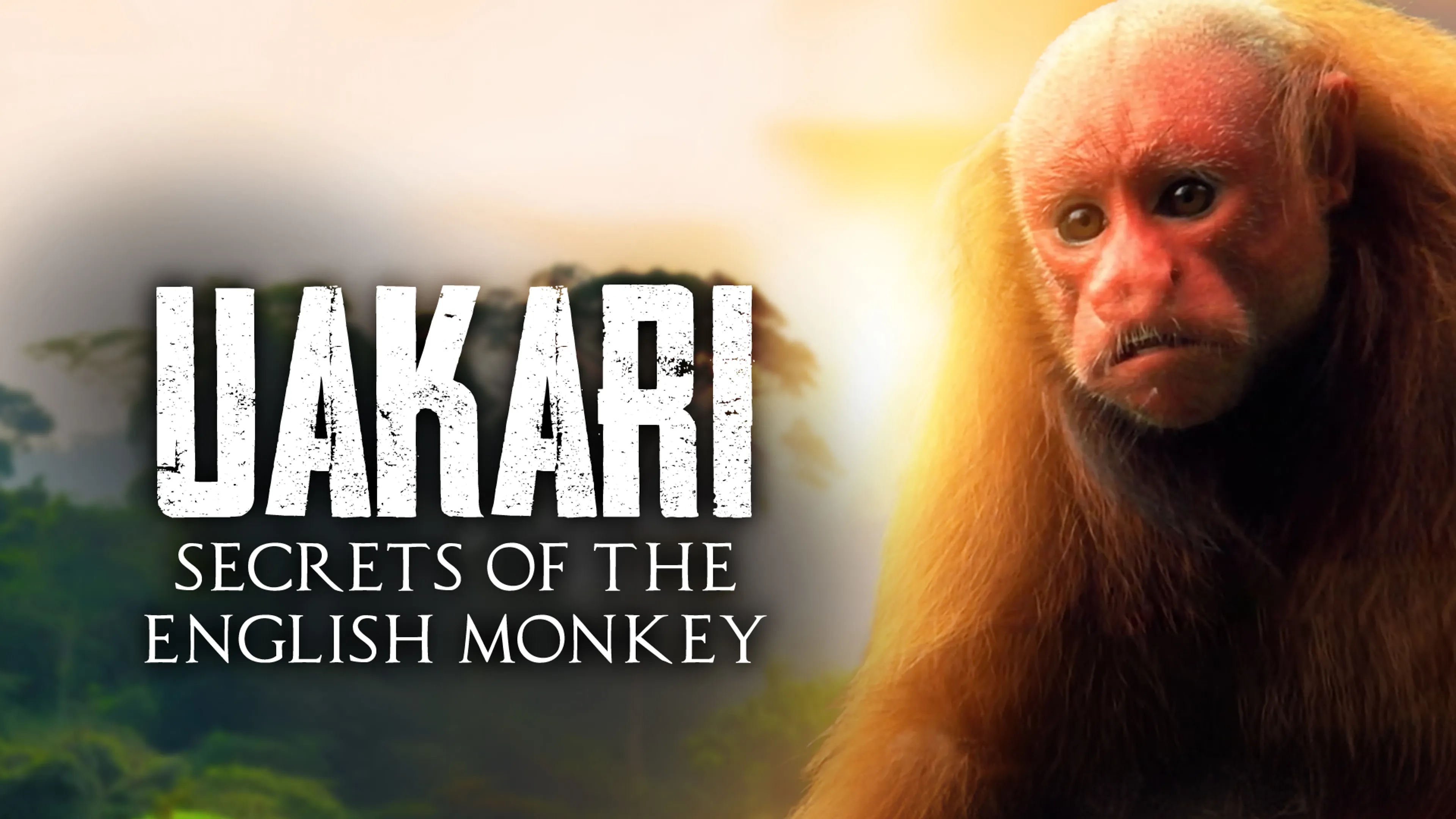 Uakari: Secrets of the English Monkey poster